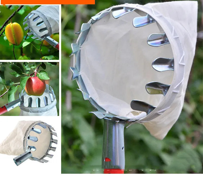 Steel and cloth fruit picker with catcher bag for harvesting citrus, pears, and peaches.