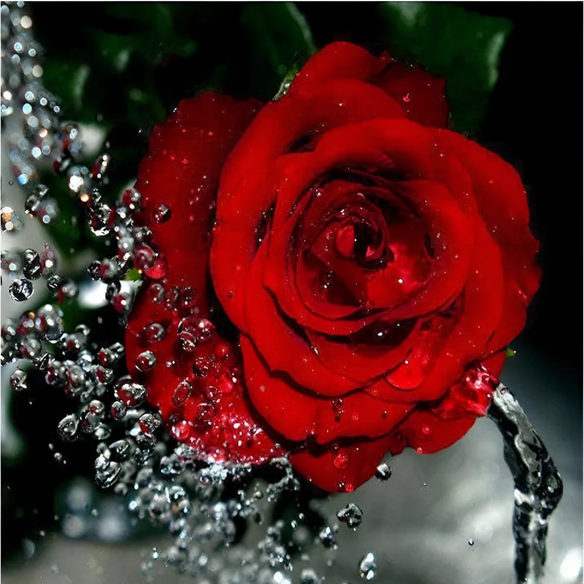 Hand-painted water drop red rose oil painting on 40x50cm linen canvas without frame