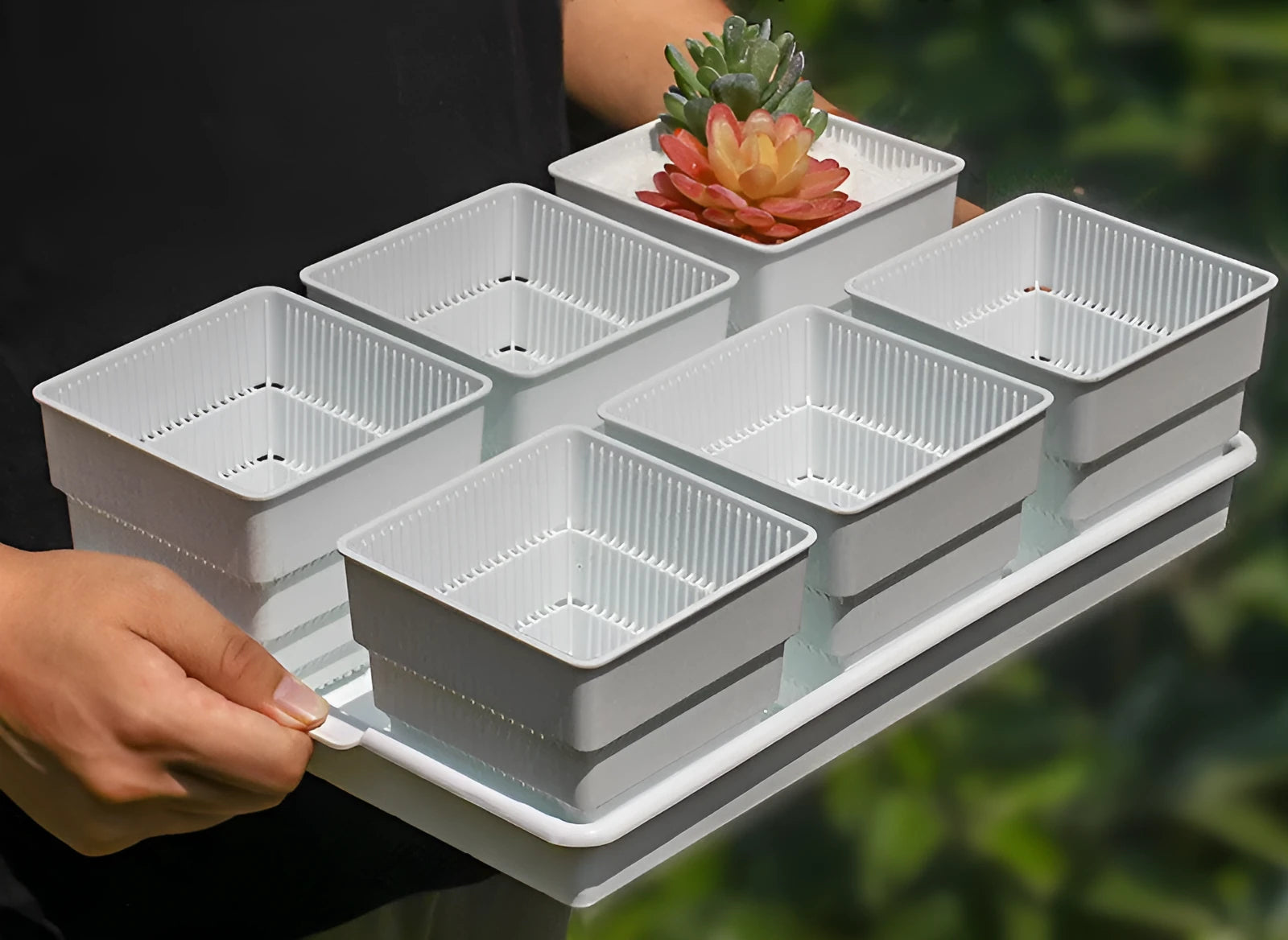 Meishi black and white resin succulent flower pot with multiple basins on a 32cm diameter tray