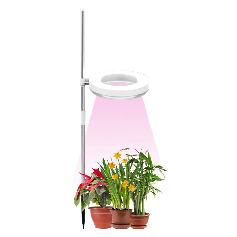 Compact full spectrum plant growth lamp for home office desk with PC shell.