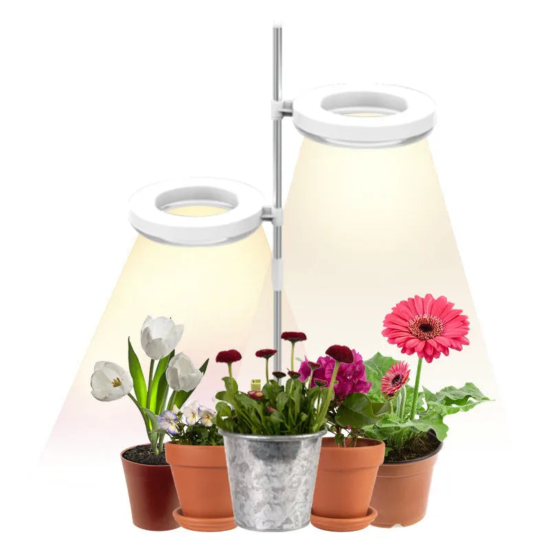 Compact full spectrum plant growth lamp for home office desk with PC shell.