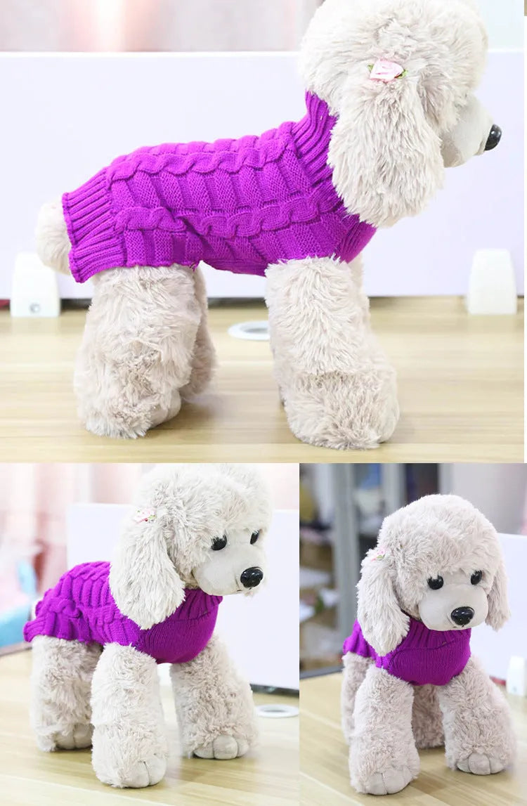 A dog wearing a soft blue cashmere sweater with a twisted rope pattern around the neck and chest.