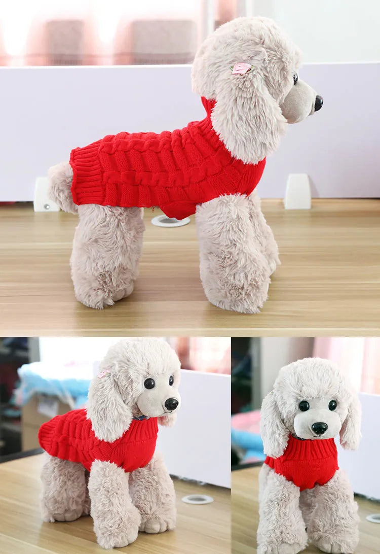 A dog wearing a soft blue cashmere sweater with a twisted rope pattern around the neck and chest.
