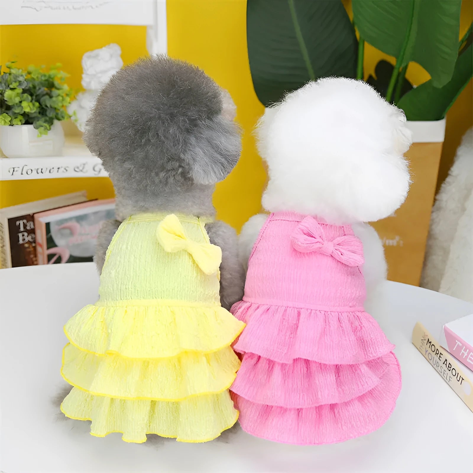 Small dog wearing polyester princess dress with layered candy skirt in teddy bichon style