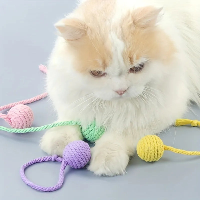 Colourful cat toy ball with attached rope and internal bell for interactive feline play