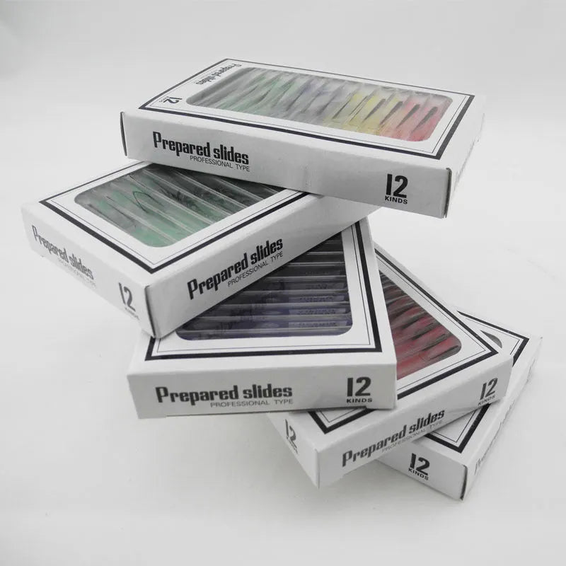 Set of 48 plastic educational microscope slides in red, green, yellow, and blue boxes for children's science observation.