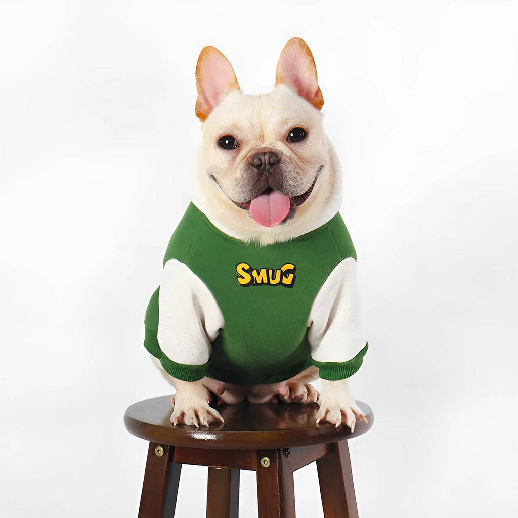 Green cotton dog coat shown on a large breed dog, sizes available from L to 4XL.