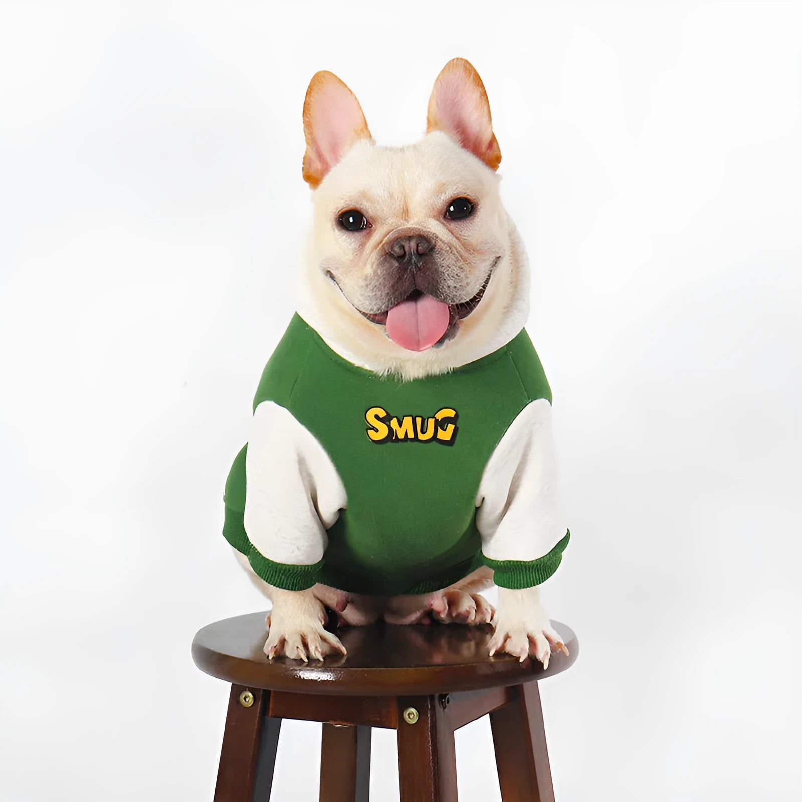 Green cotton dog coat shown on a large breed dog, sizes available from L to 4XL.