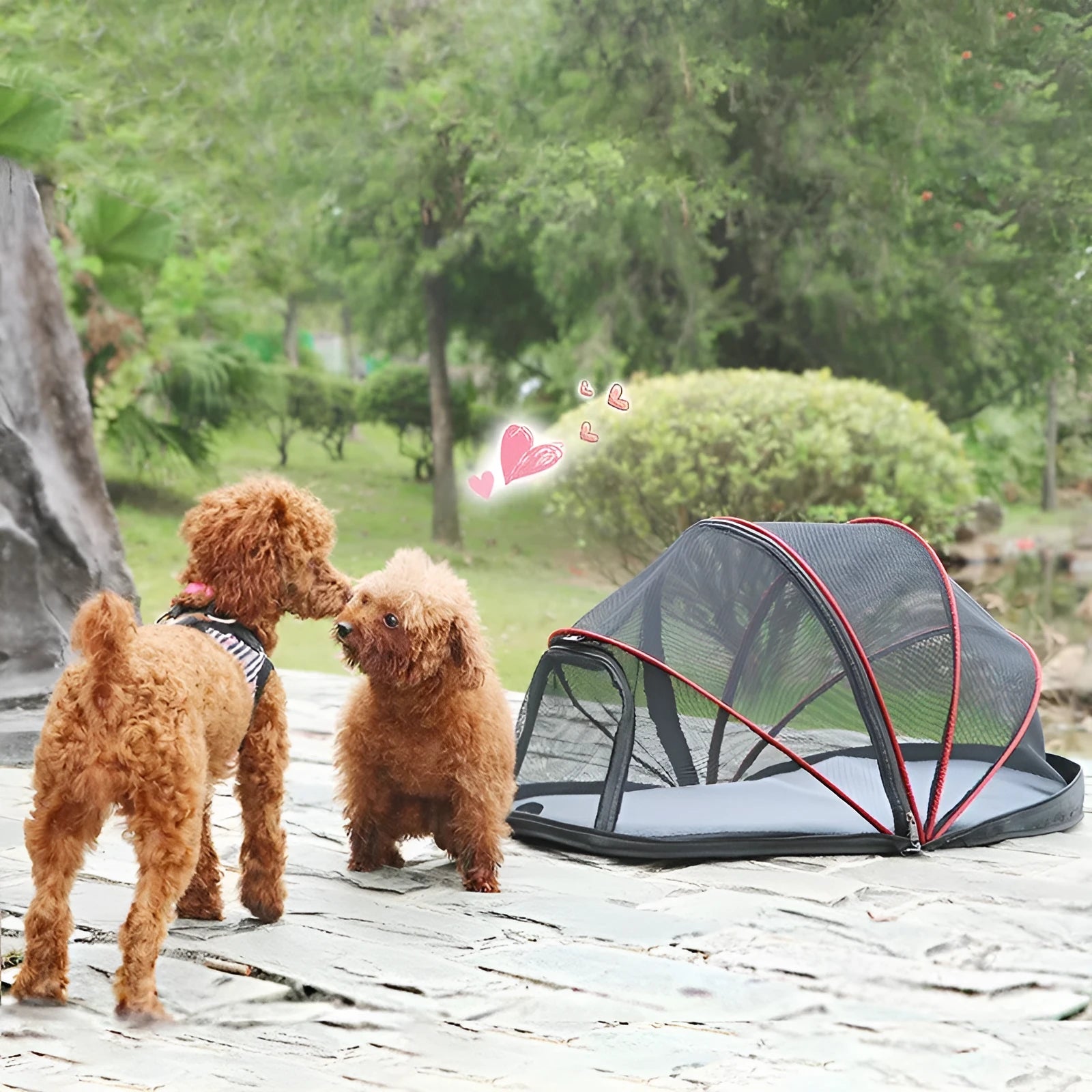 Foldable cloth cat tent with half mesh panels in black or blue colour