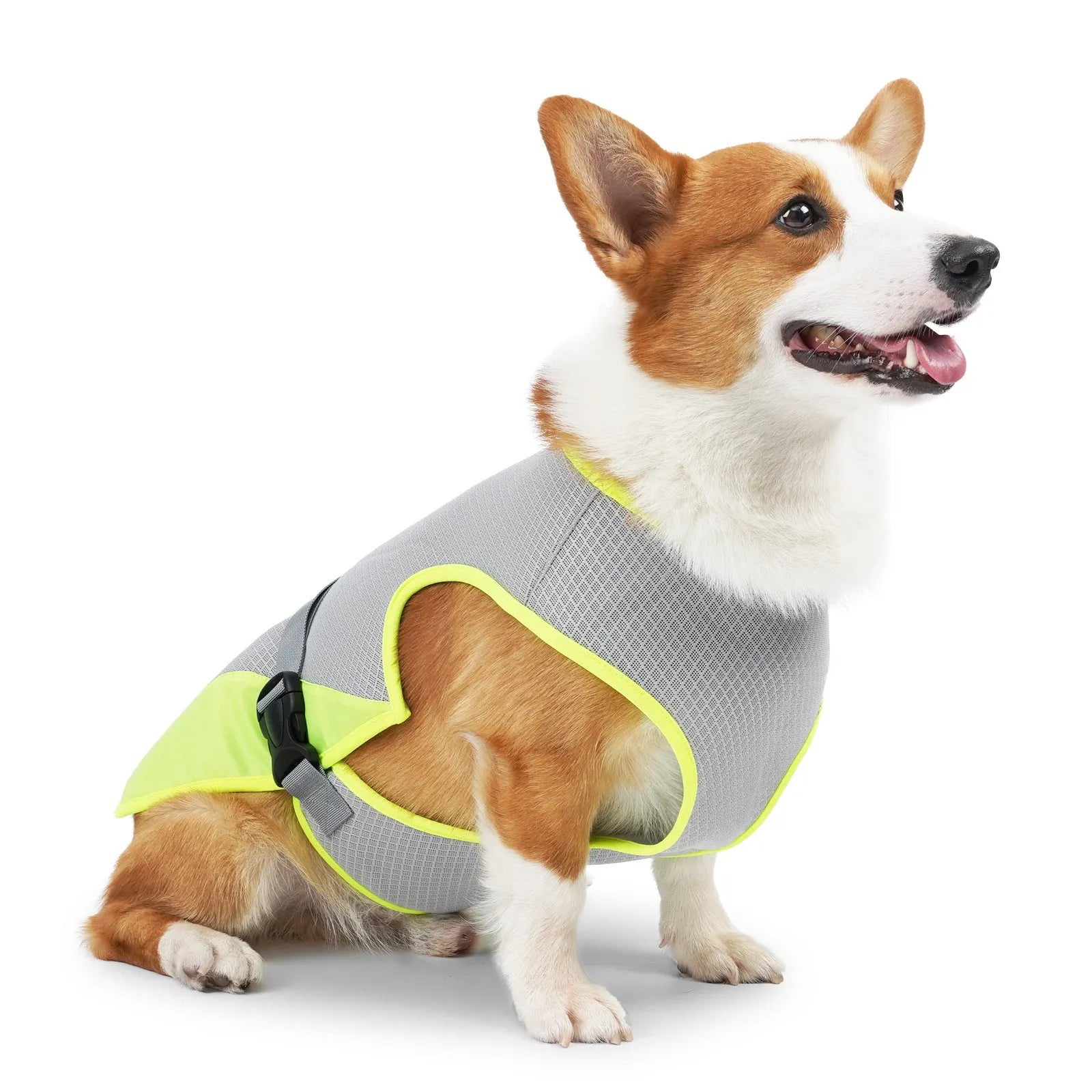 Light grey polyester dog cooling vest for summer heatstroke prevention on a medium-sized dog.