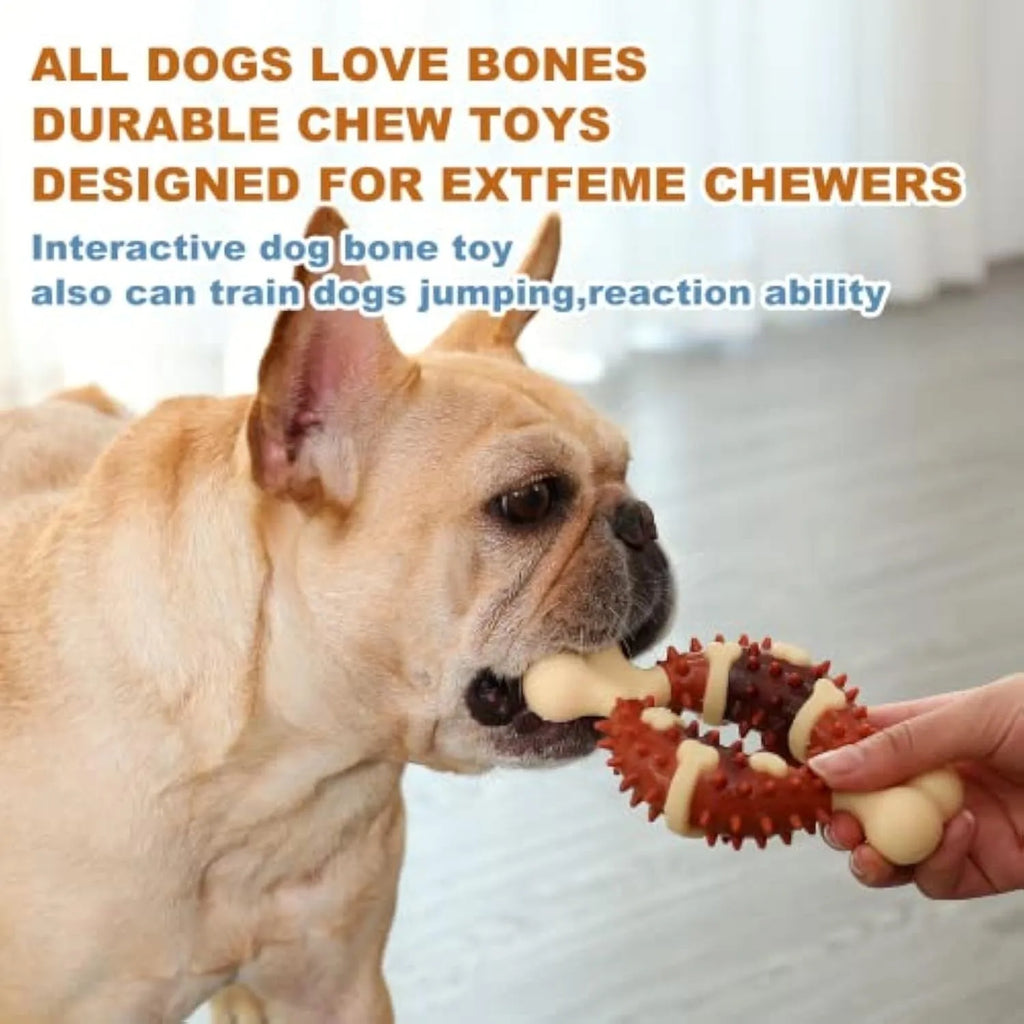 Bone-shaped natural rubber dog dental chew toy for teeth cleaning and anxiety relief