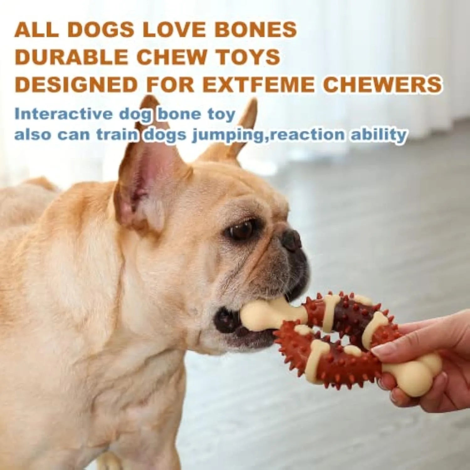 Bone-shaped natural rubber dog dental chew toy for teeth cleaning and anxiety relief