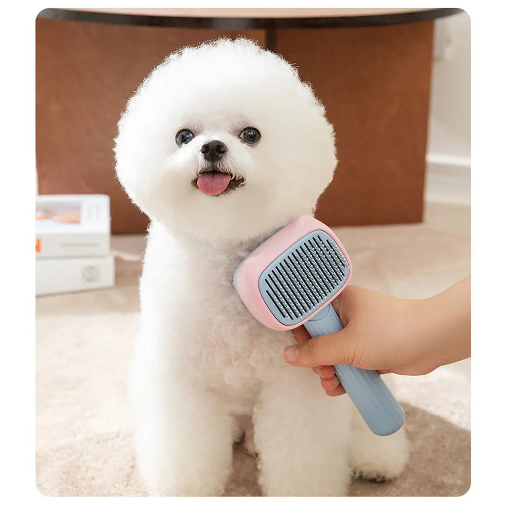 Blue and green dual-sided pet grooming brush showing deshedding rake and dematting comb.