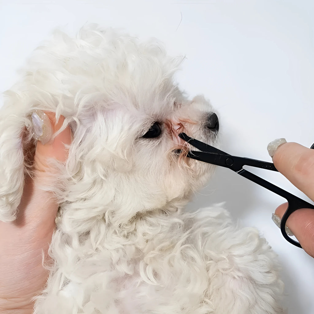 Black ambidextrous pet grooming brush with soft tear stain remover and comb for dogs and cats