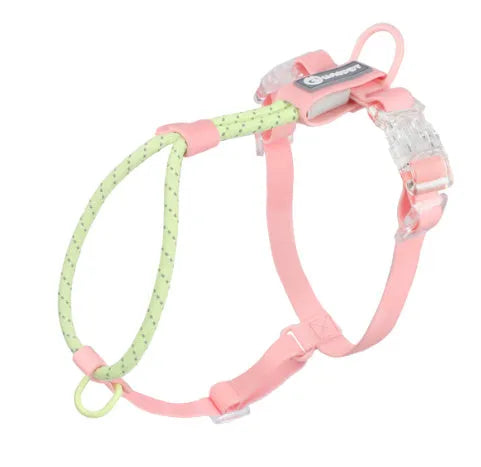 Solid colour PVC dog hand holding rope leash in dark red purple yellow on a green background.