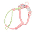 Solid colour PVC dog hand holding rope leash in dark red purple yellow on a green background.
