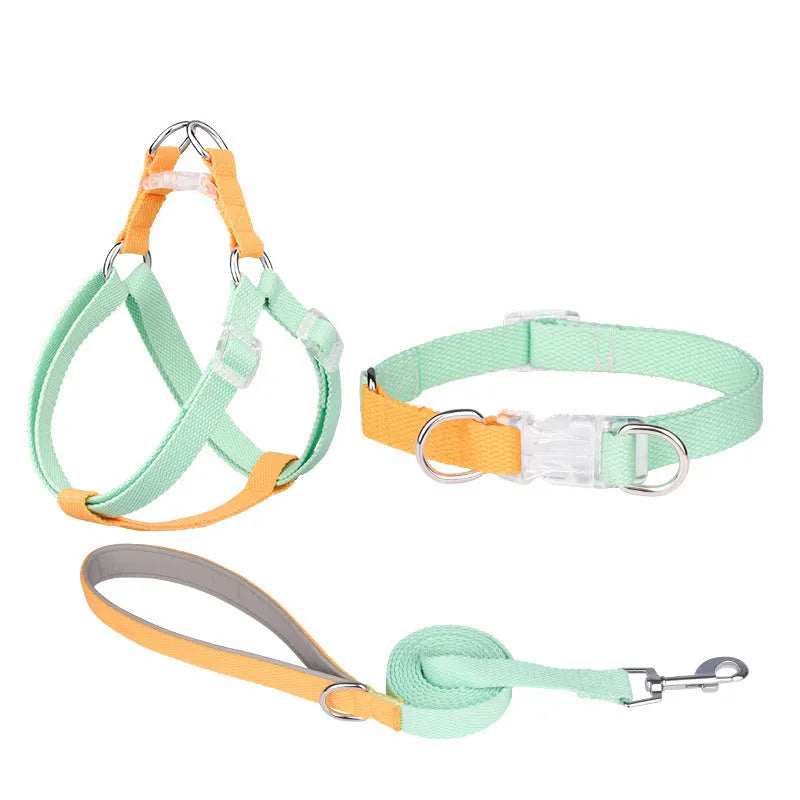 Polyester ribbon dog collar set with matching lead and chest strap in multicolour combination