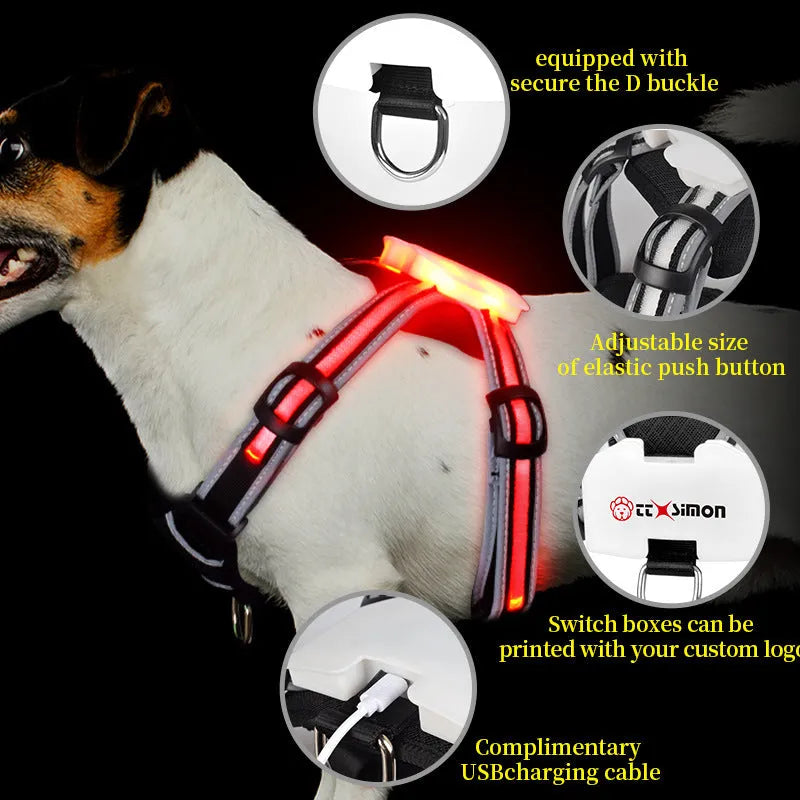 Luminous dog lead with seven-colour LED illumination and hand-held design for night-time walking