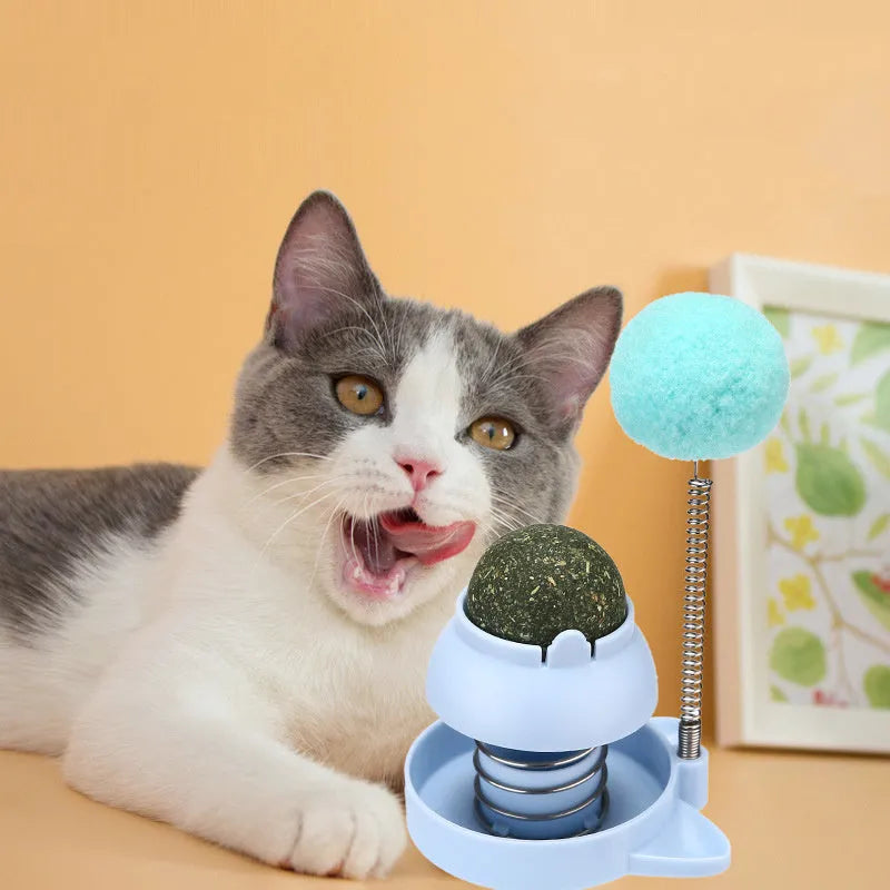 Mint-flavoured cat toy ball in blue, orange or pink for self-play and teeth cleaning