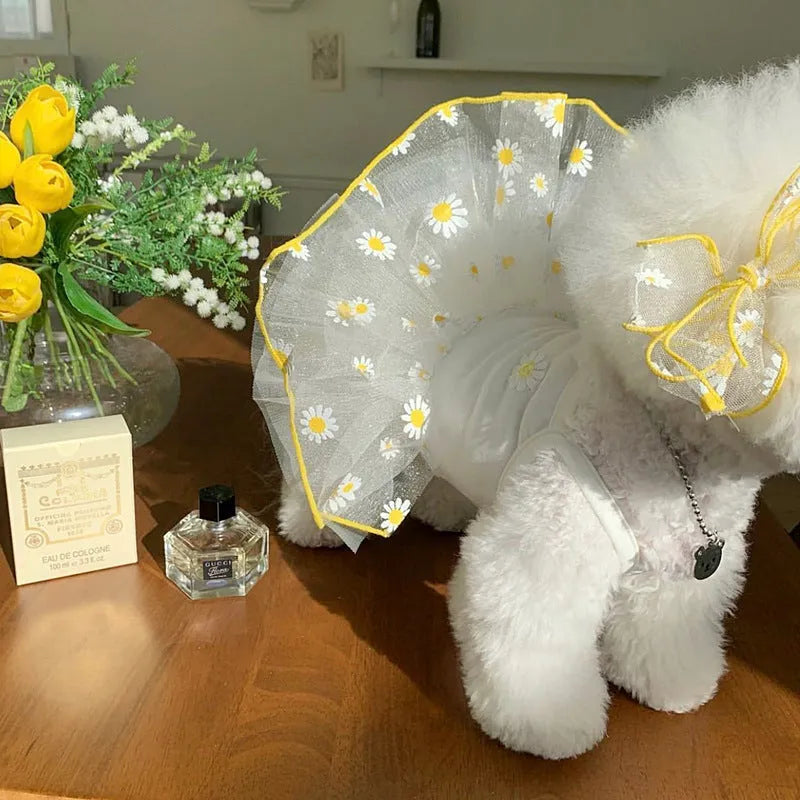 Yellow daisy patterned dog clothes for summer wear on small medium breed dog