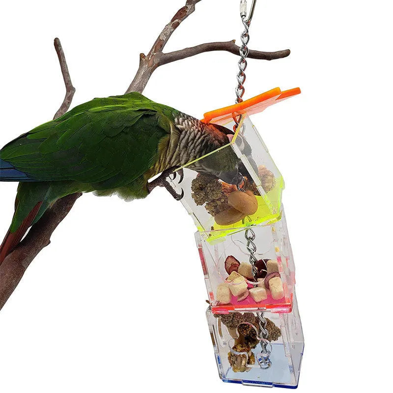Clear acrylic parrot foraging toy measuring 5x5x32cm for holding bird treats