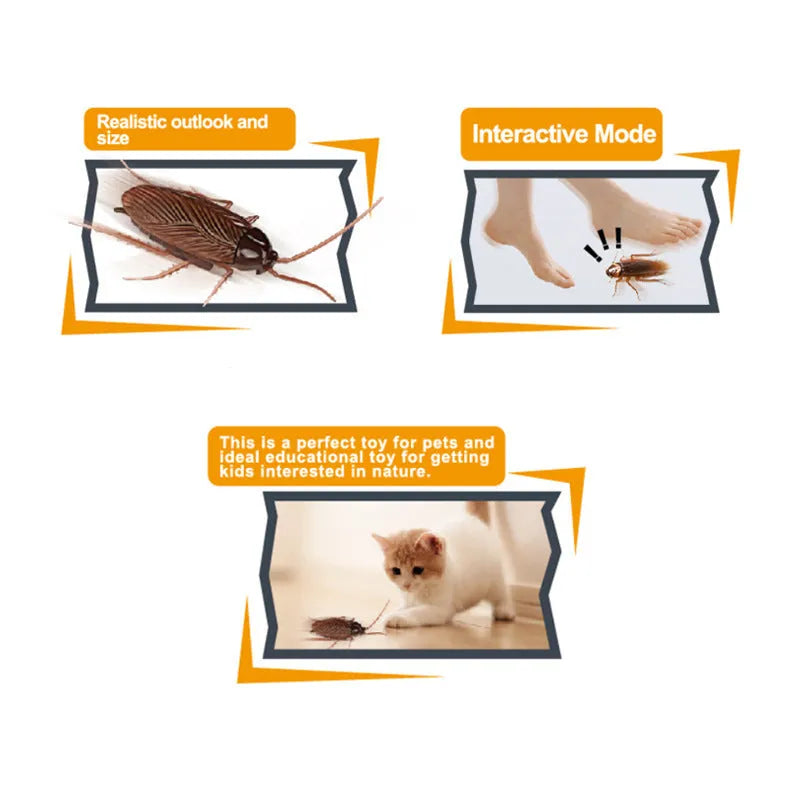 Electric vibration pet toy in choice of cockroach, tarantula, mouse, or dragonfly design.