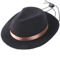 S size 155cm diameter woolen felt pet sun hat for small dogs with hairpin accessory