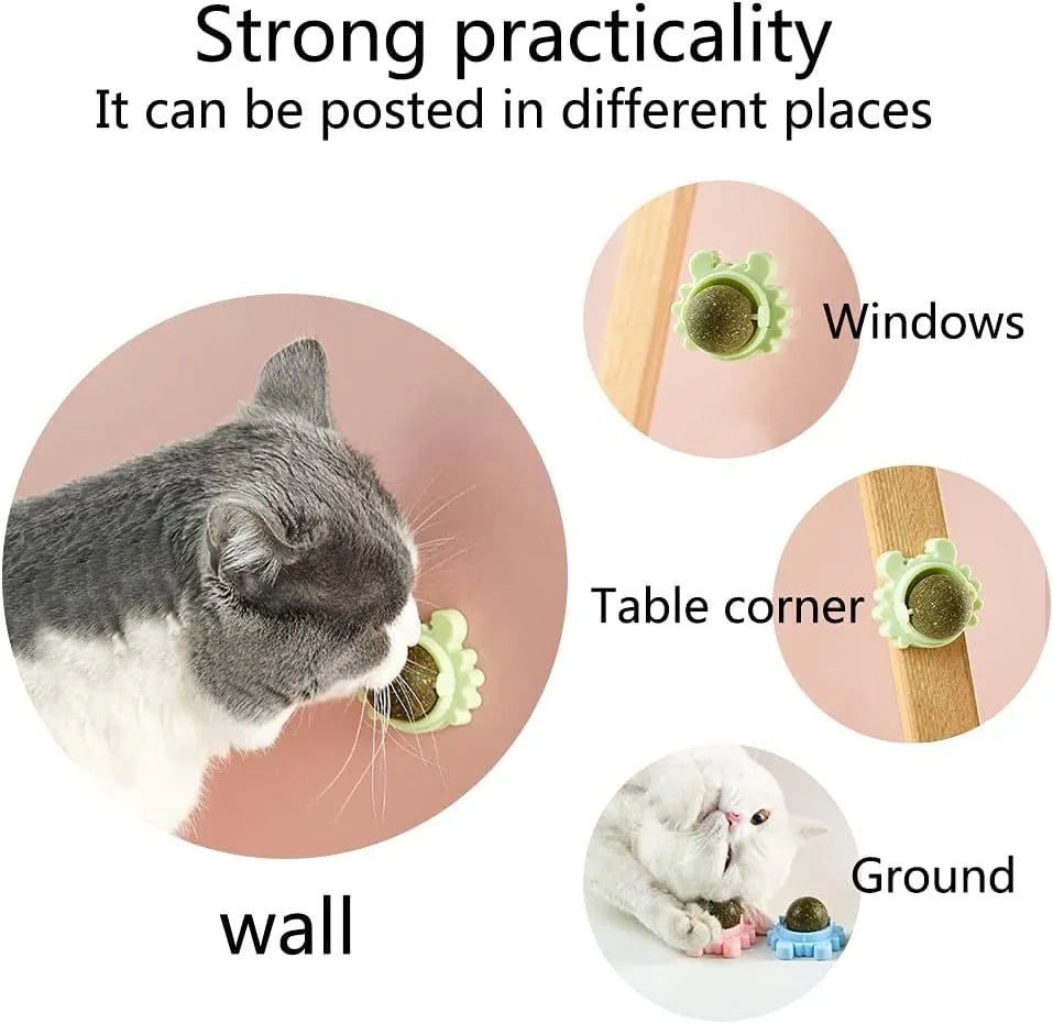 Catnip wall ball toy with three removable balls in blue, green and pink, mounted on a smooth wall for cats.