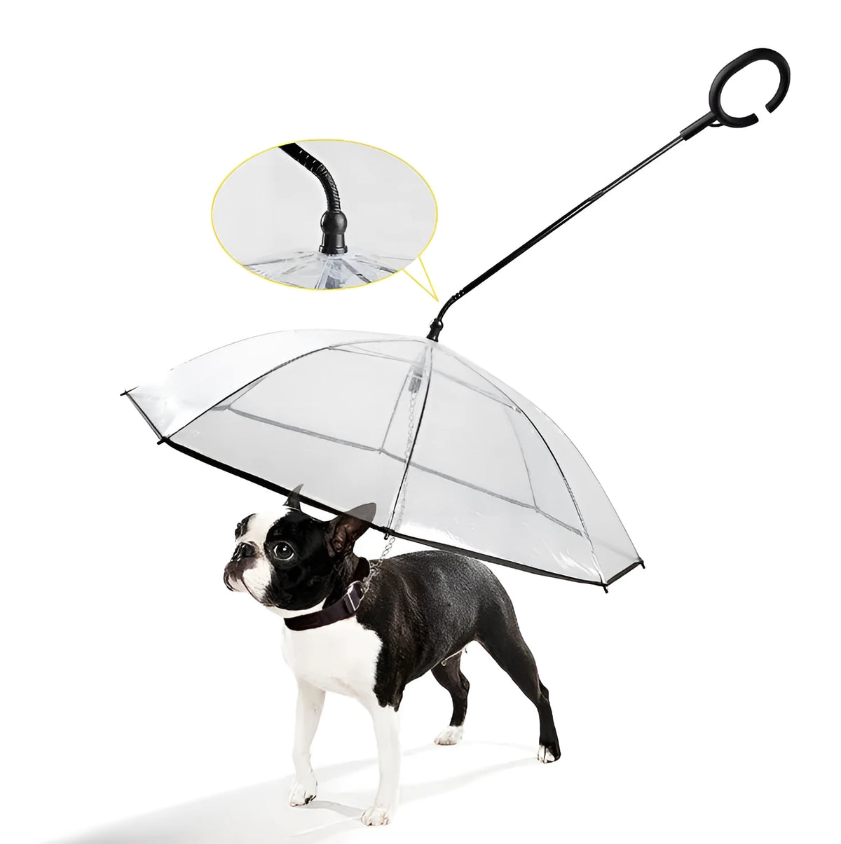 White transparent pet umbrella with C-shaped handle, 70cm PVC canopy, and adjustable retractable middle bar
