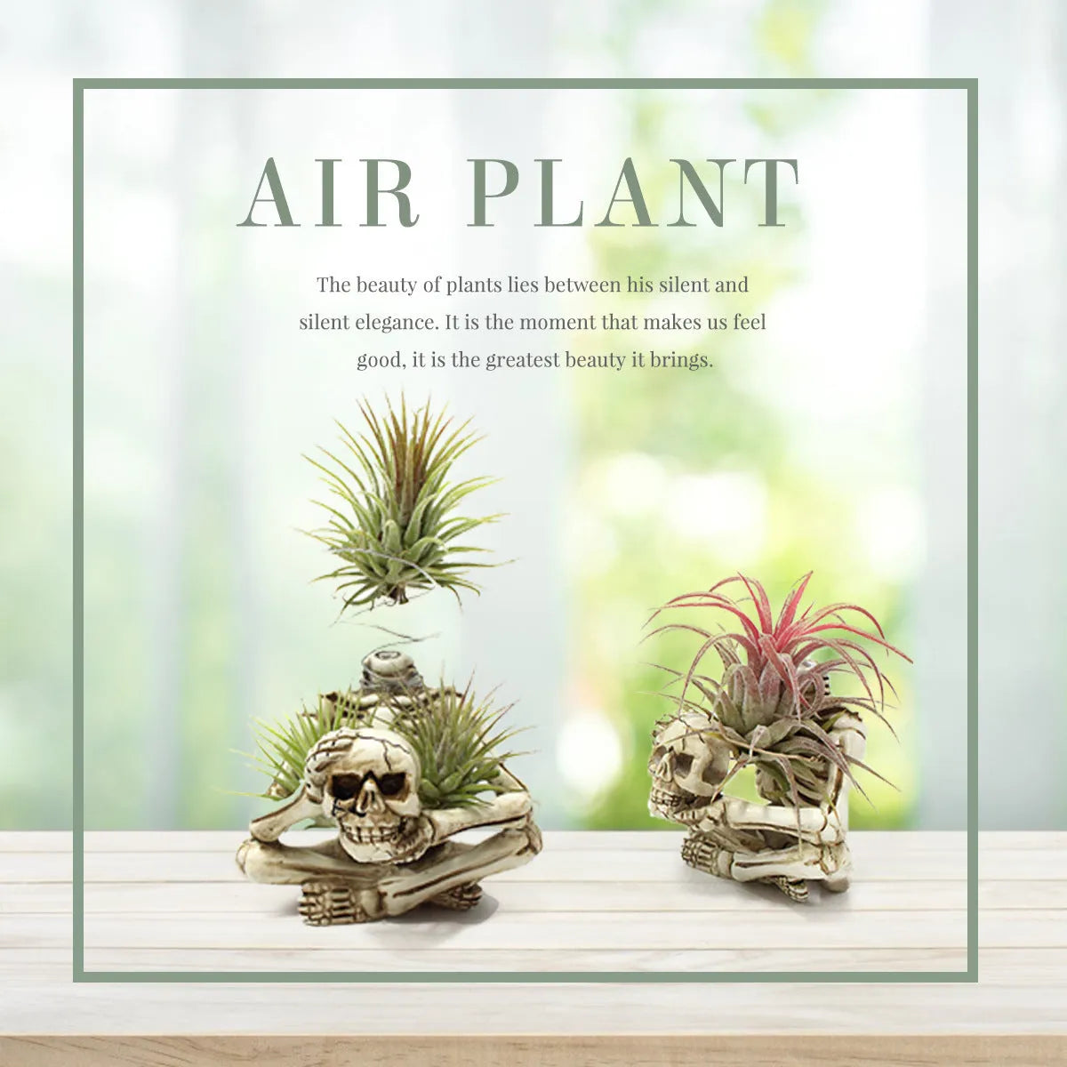 Gothic skull design resin bracket for tillandsia plants with iron stand