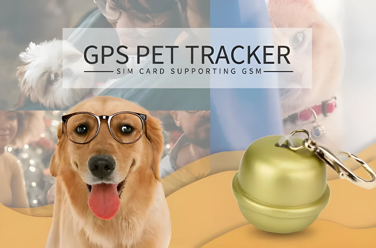 GPS dog tracking collar in nylon with adjustable strap and integrated tracking unit.