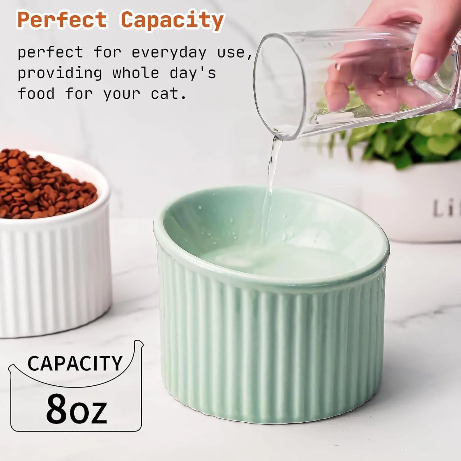 Ceramic elevated cat bowl in green colour with raised feeding design