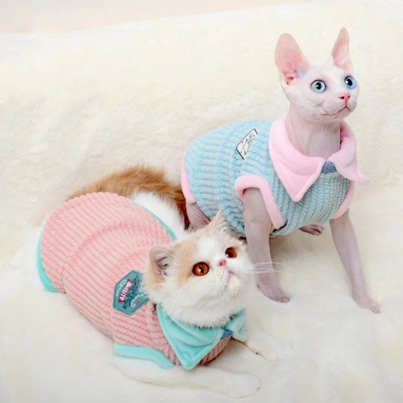 Wool two-legged hairless cat jumper in blue with pink edge, shown in size XS to XL for autumn and winter