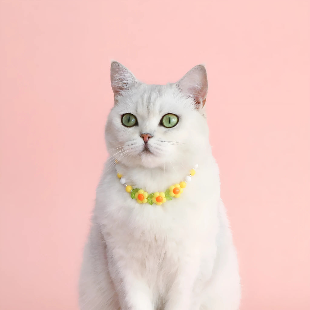 Colourful plastic bead cat necklace with adjustable sizing in peach, rainbow or small flower patterns