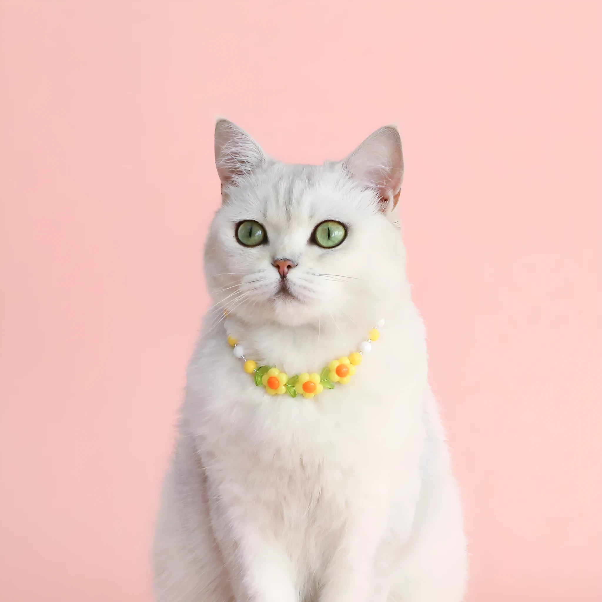 Colourful plastic bead cat necklace with adjustable sizing in peach, rainbow or small flower patterns