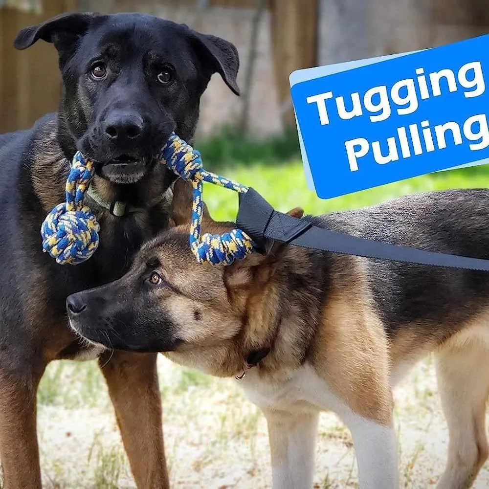 Cotton rope dog tug toy with colourful ball attachments for tug of war play