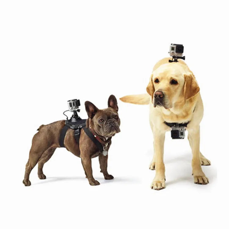 Black dog camera harness chest mount for GoPro, adjustable 7-54 kg, with quick release base and camera lanyard