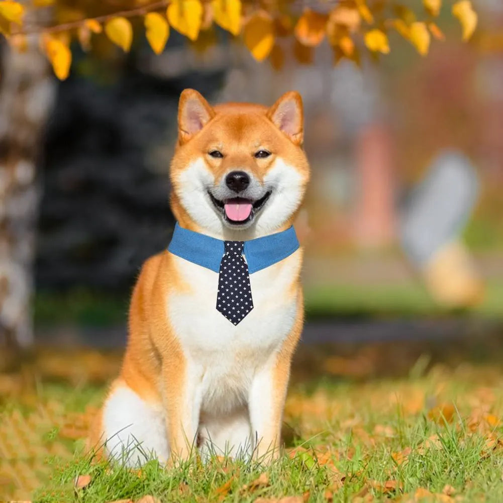 Denim dog collar with star pattern necktie in bow style, adjustable sizing for formal events