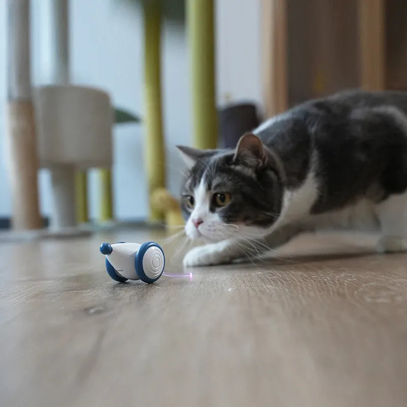 Automatic electric mouse cat toy in blue or yellow, 60x50x36mm, with USB cable and ABS TPU PVC body