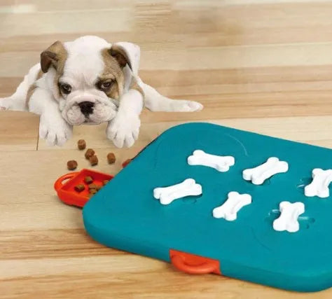 Blue plastic pet puzzle toy with casino treasure hunt design, 100g, for dogs and cats