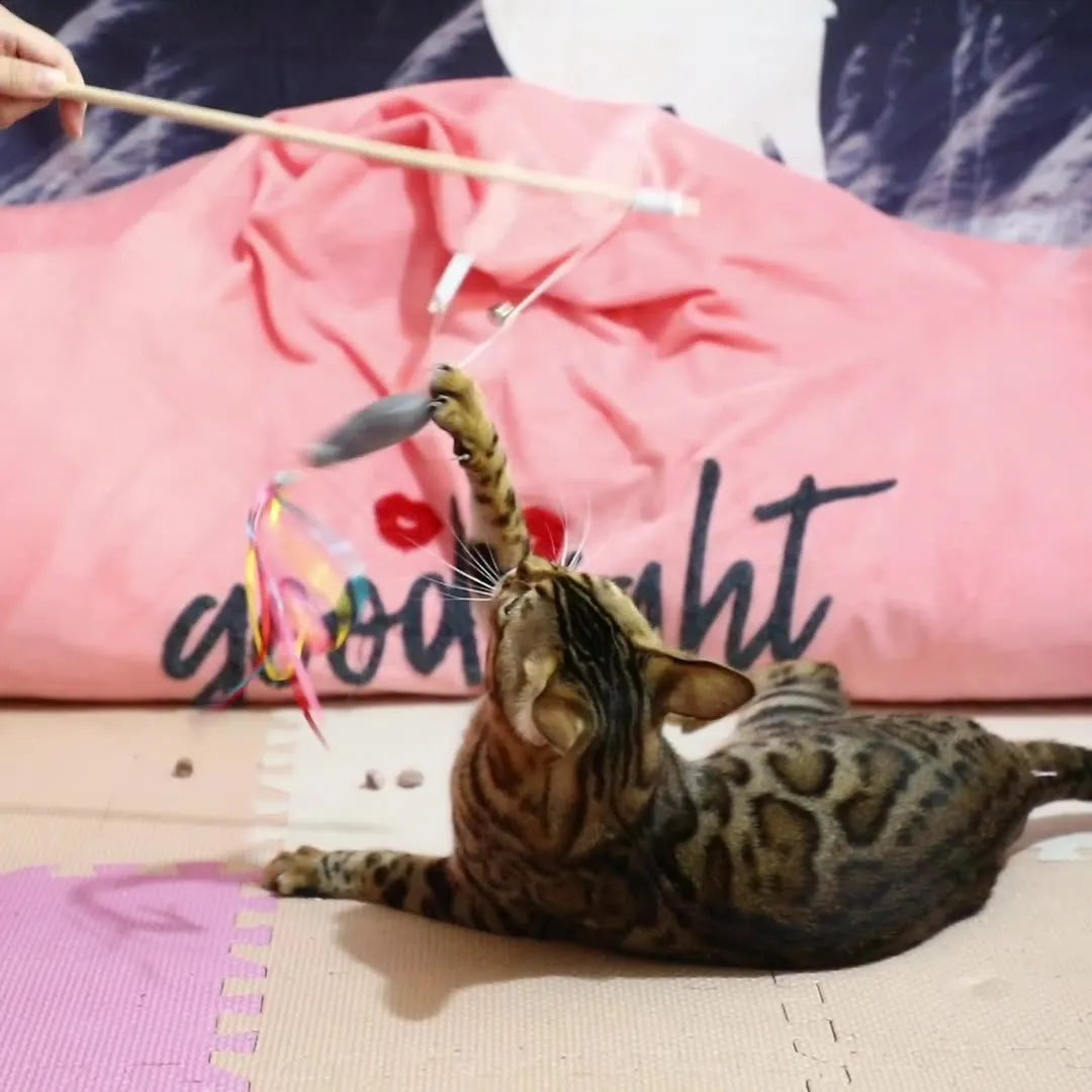 Interactive cat wand toy with colourful ribbons, catnip fish, and bell on a wooden handle