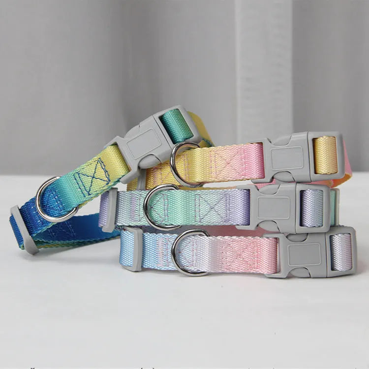 Nylon dog leash and collar set in a gradient colour design of blue and pink