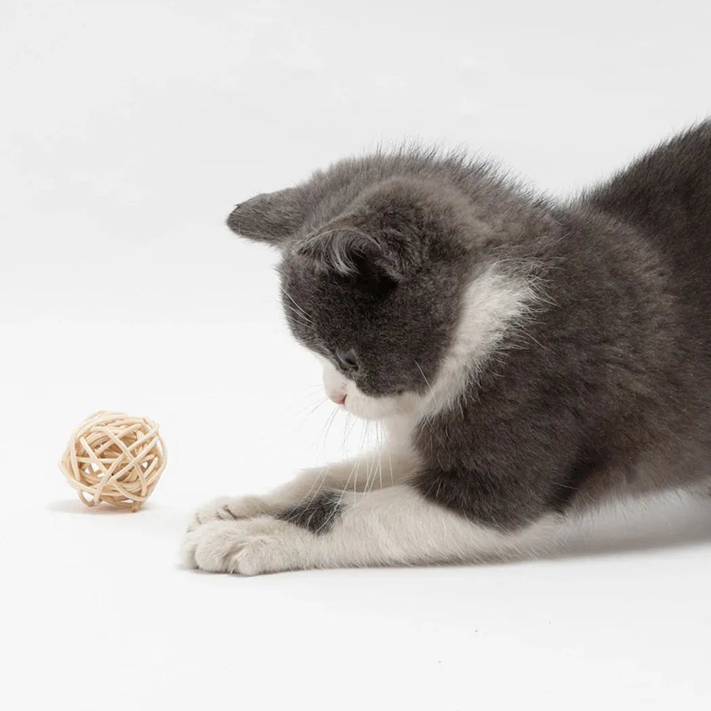 Set of two cat toys: hollow rattan ball and faux feather bell ball with bell for kitten play.