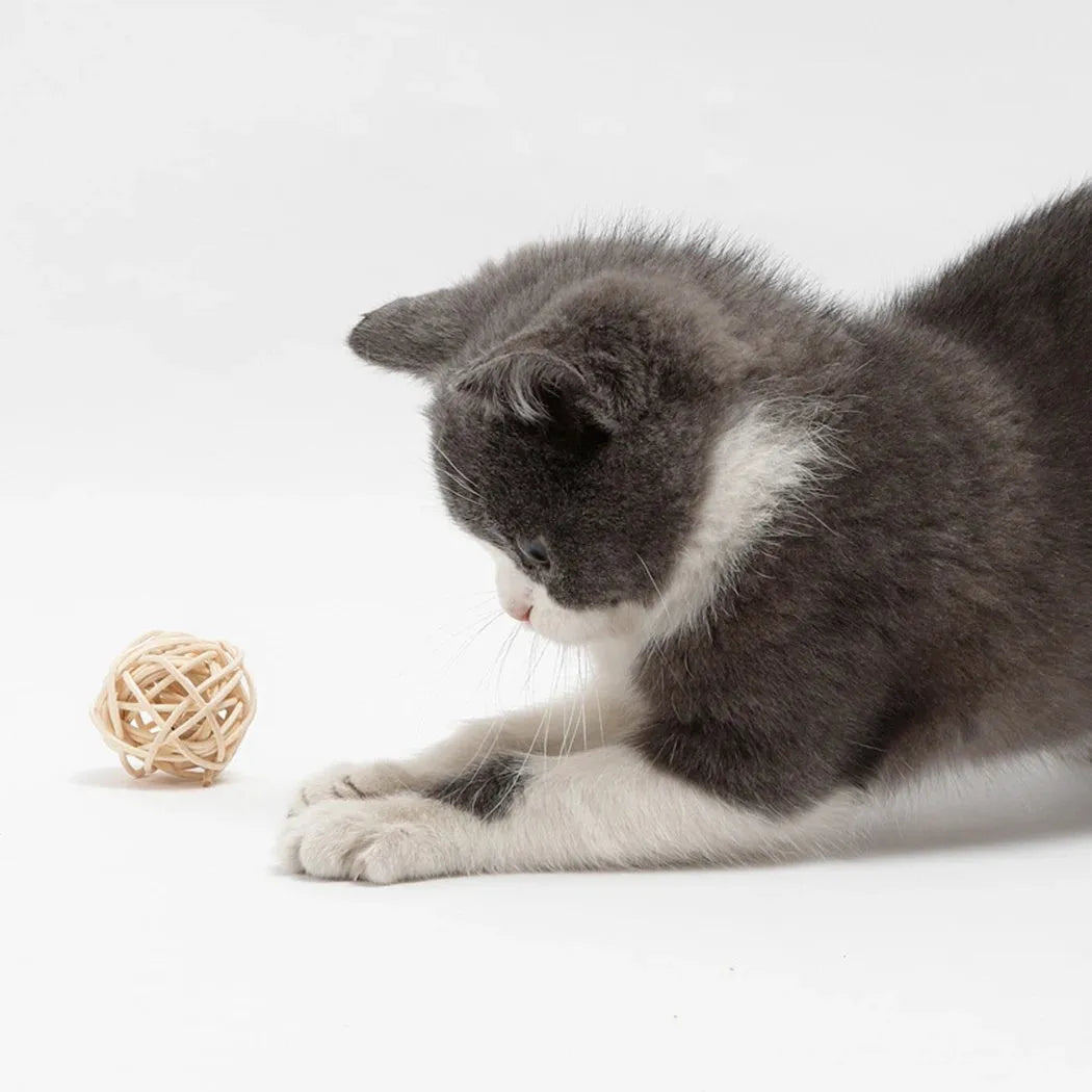 Set of two cat toys: hollow rattan ball and faux feather bell ball with bell for kitten play.
