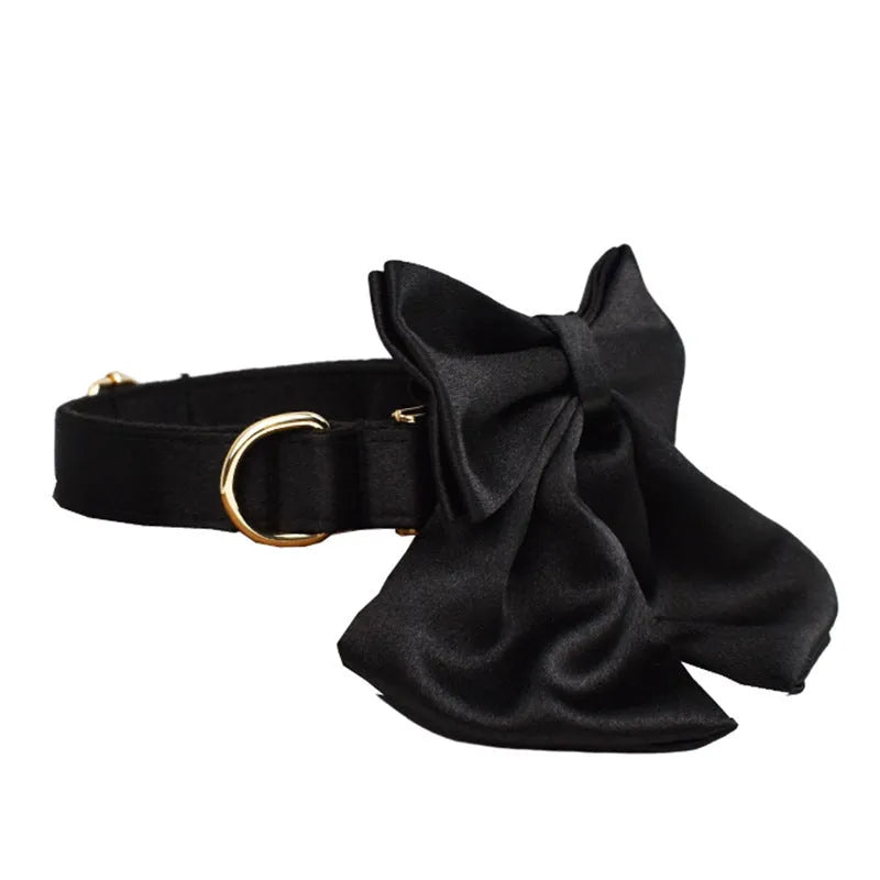 Complete dog accessory set with collar, leash, bow, and vest in cloth material