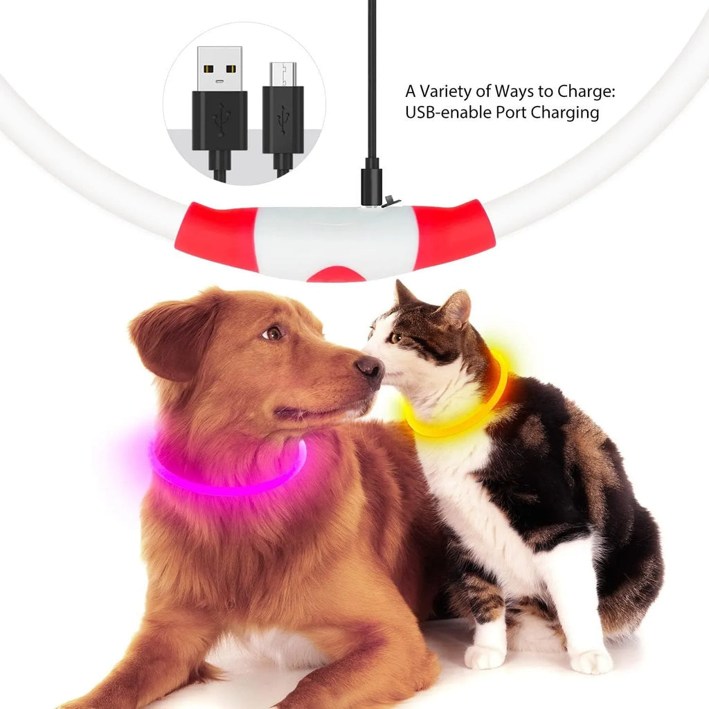 USB-rechargeable LED dog collar glowing blue with adjustable length for night safety