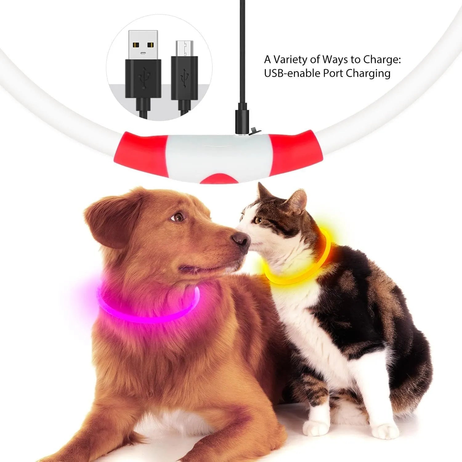 USB-rechargeable LED dog collar glowing blue with adjustable length for night safety