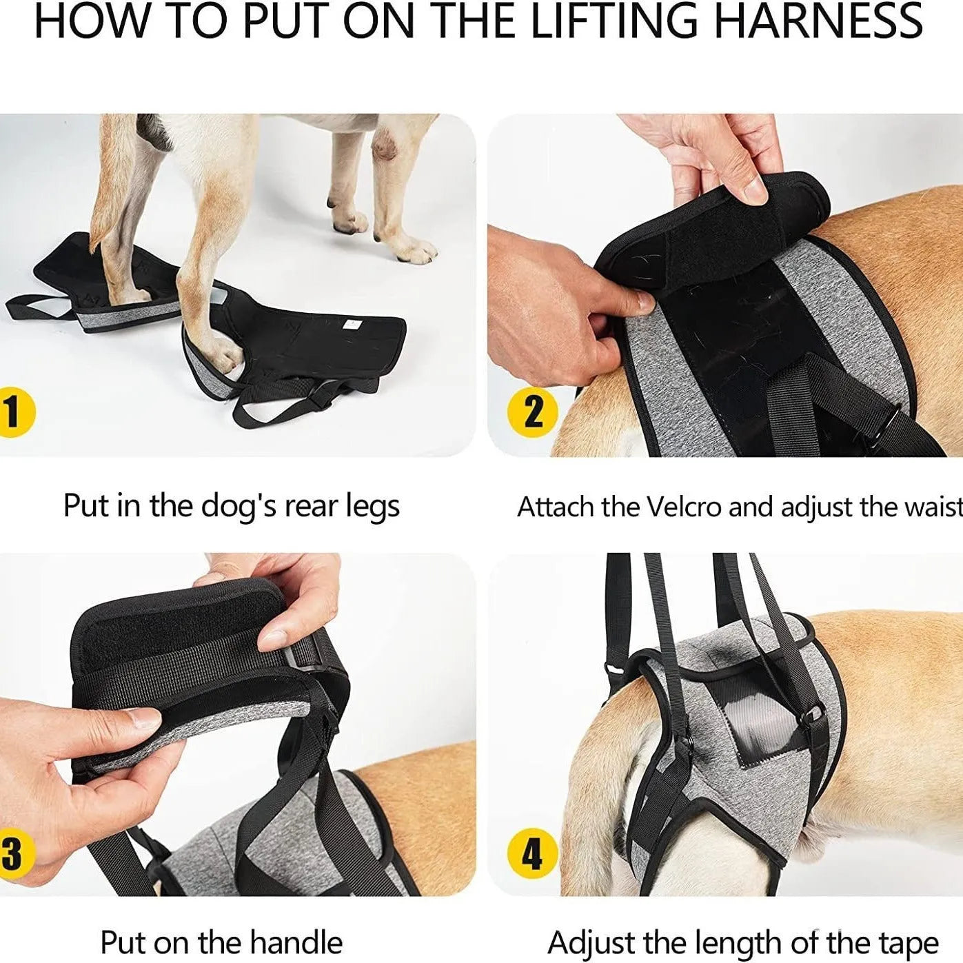 Grey neoprene dog rear leg recovery support belt with adjustable waist and thigh straps.