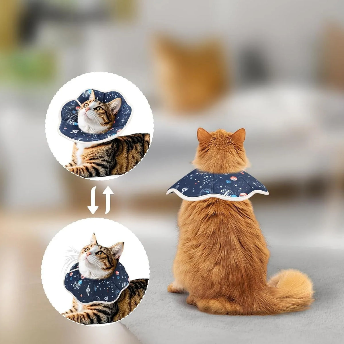 Soft adjustable cat cone collar in constellation print, showing adjustable circular fastener and soft fabric construction.
