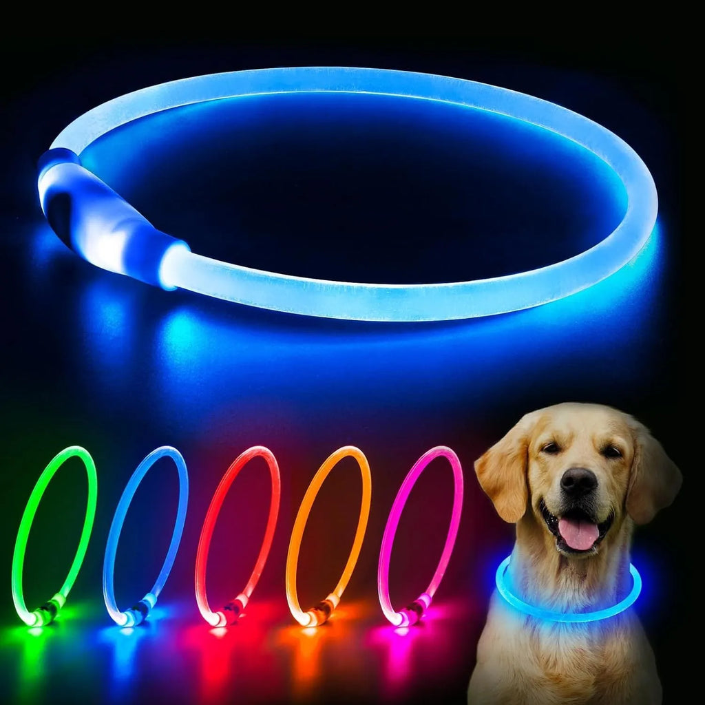 USB-rechargeable LED dog collar glowing blue with adjustable length for night safety